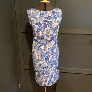 Knee Length Sleeveless Zip Back Pineapple Dress